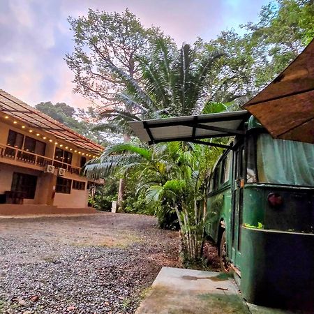 Cool Waters Jungle Villas Uvita Esterno foto