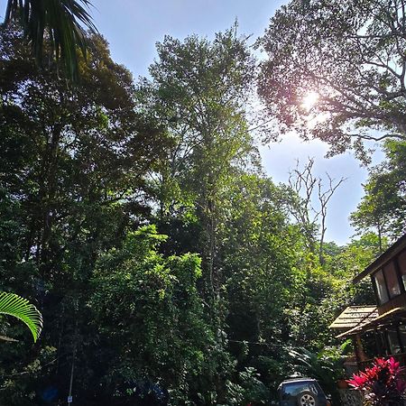 Cool Waters Jungle Villas Uvita Esterno foto