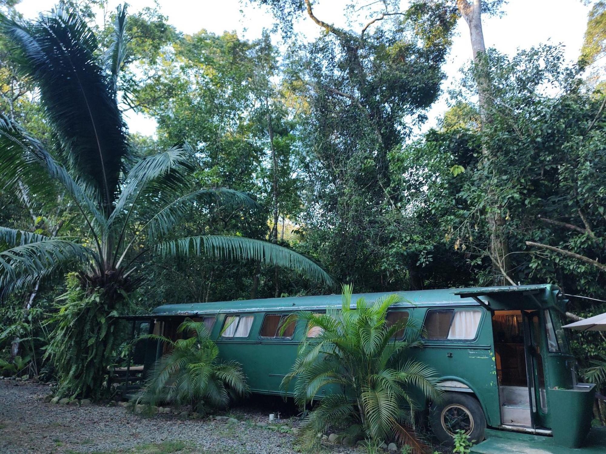 Cool Waters Jungle Villas Uvita Esterno foto