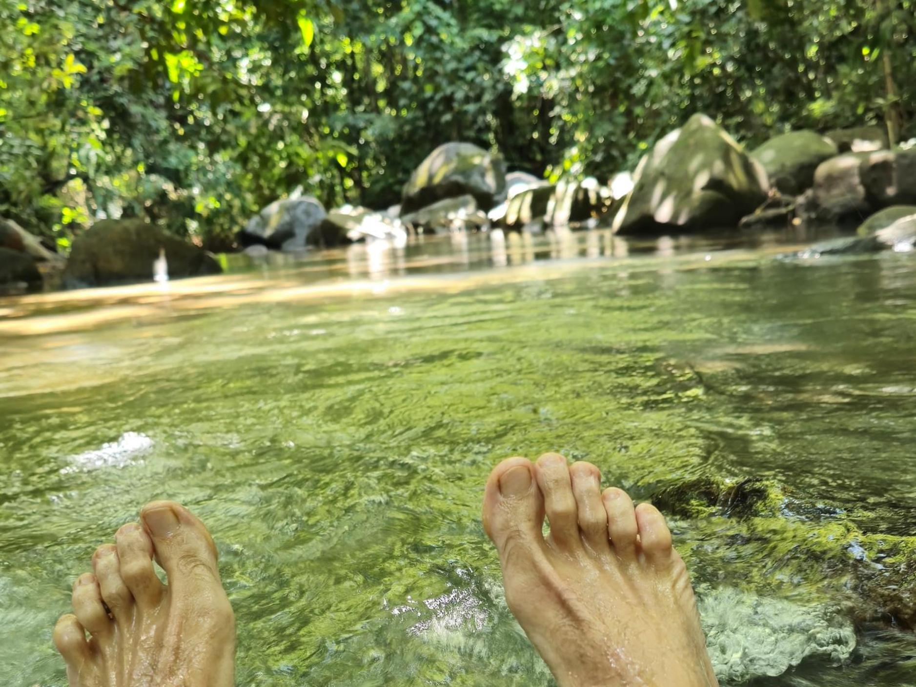 Cool Waters Jungle Villas Uvita Esterno foto