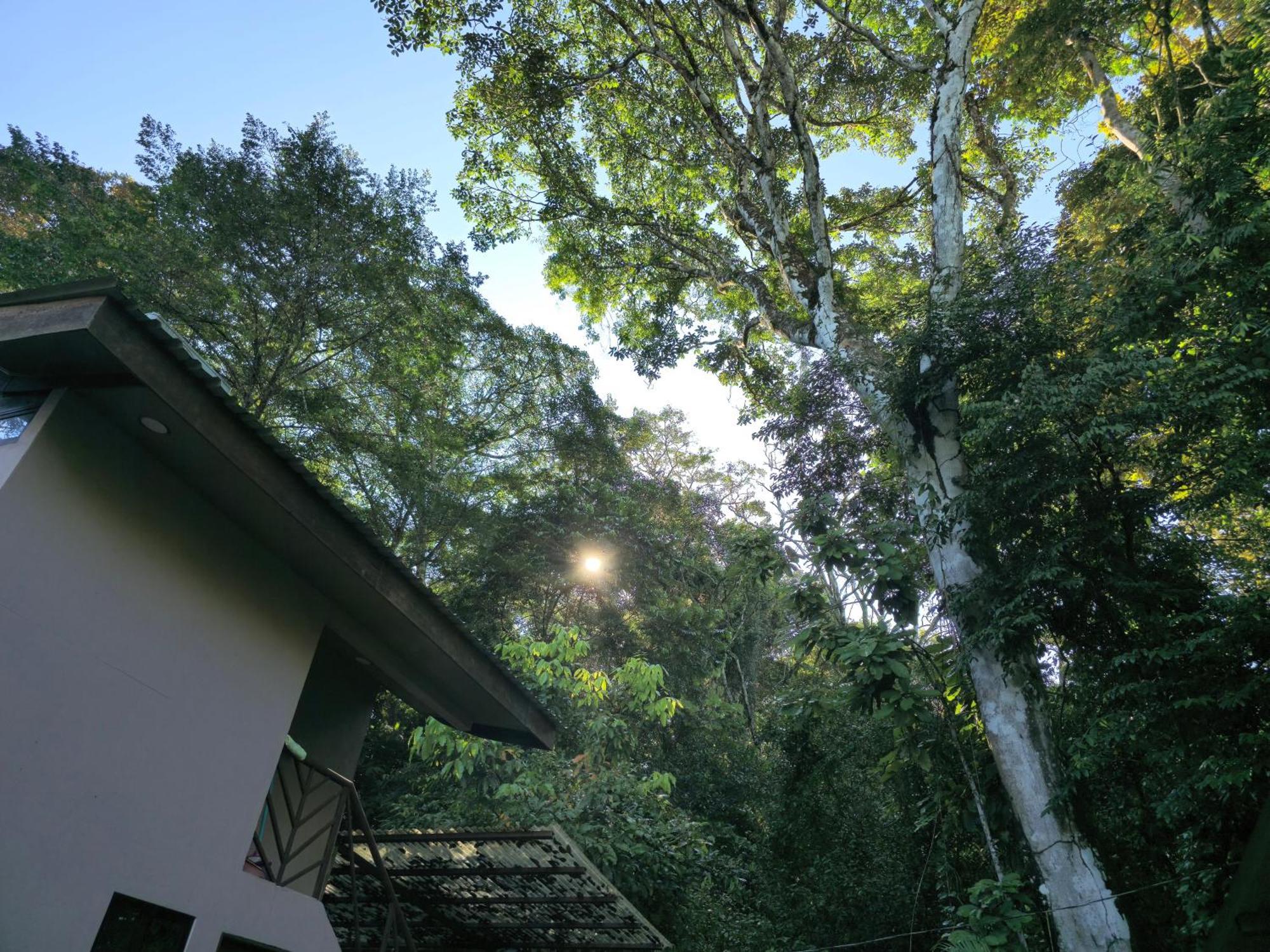 Cool Waters Jungle Villas Uvita Esterno foto