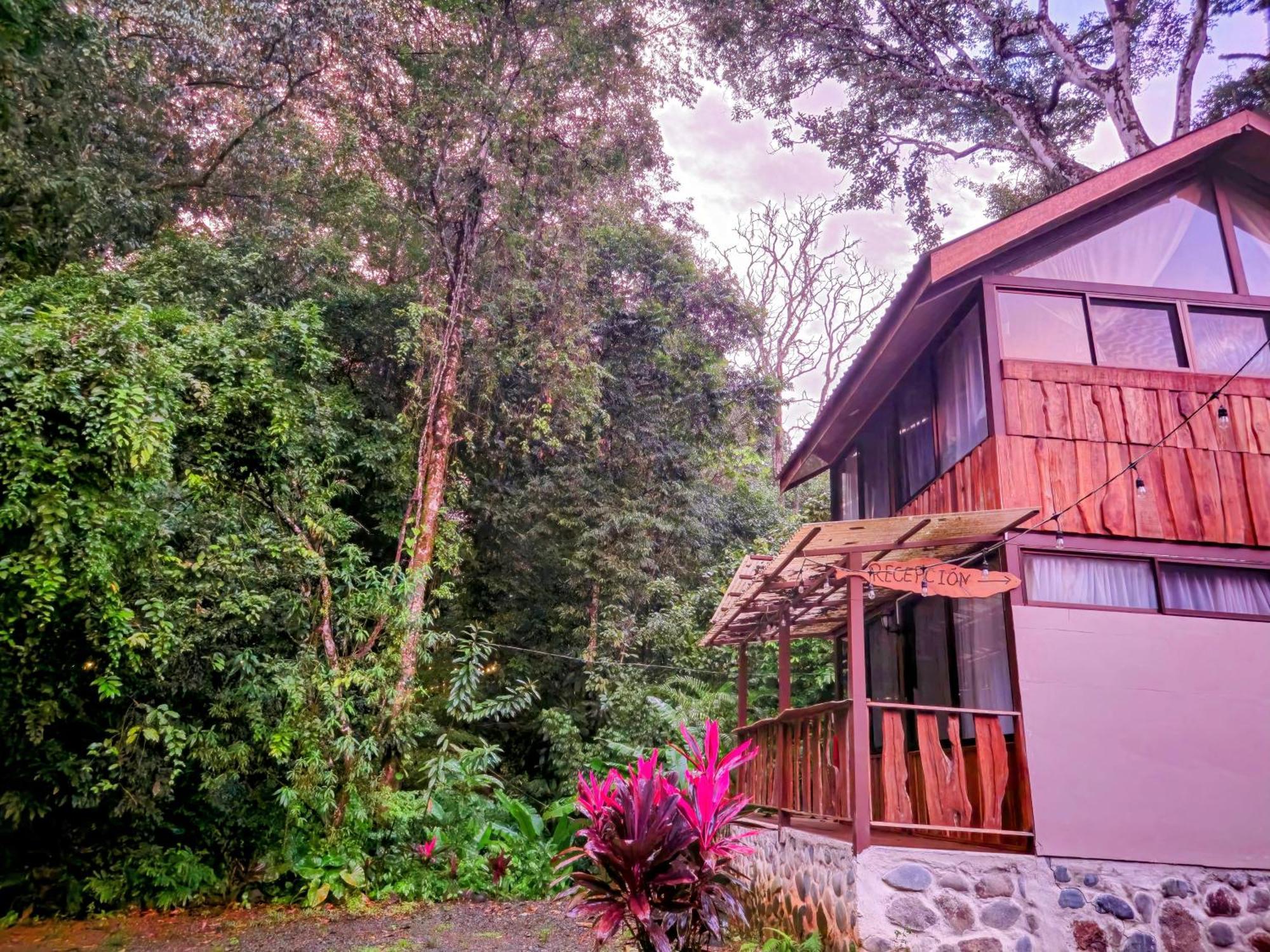 Cool Waters Jungle Villas Uvita Esterno foto