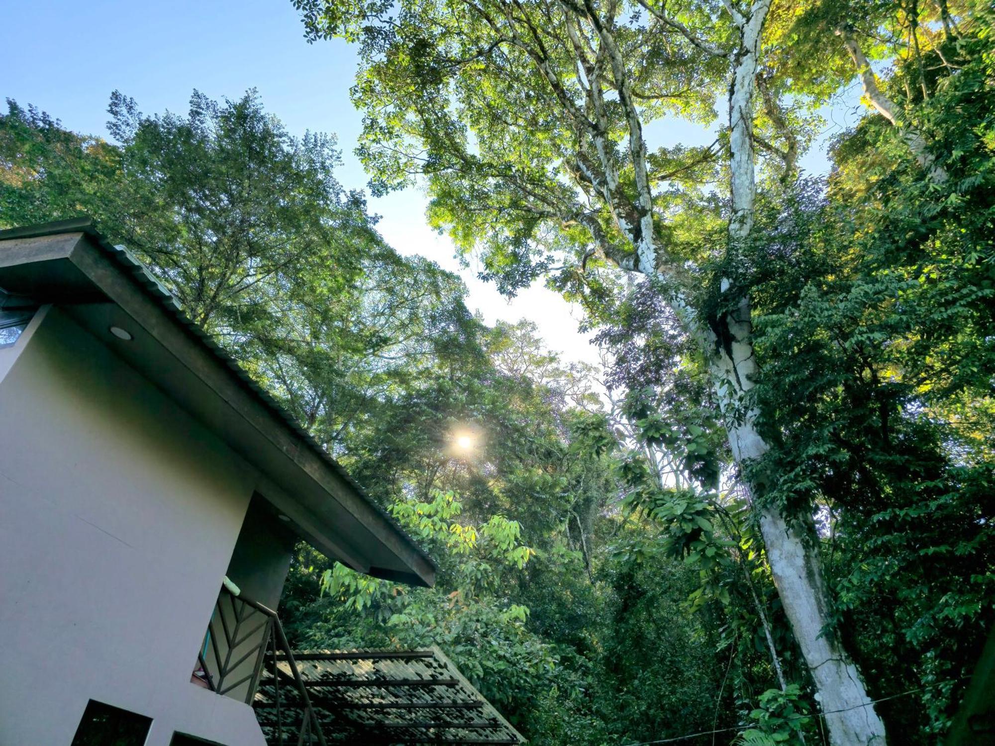 Cool Waters Jungle Villas Uvita Esterno foto
