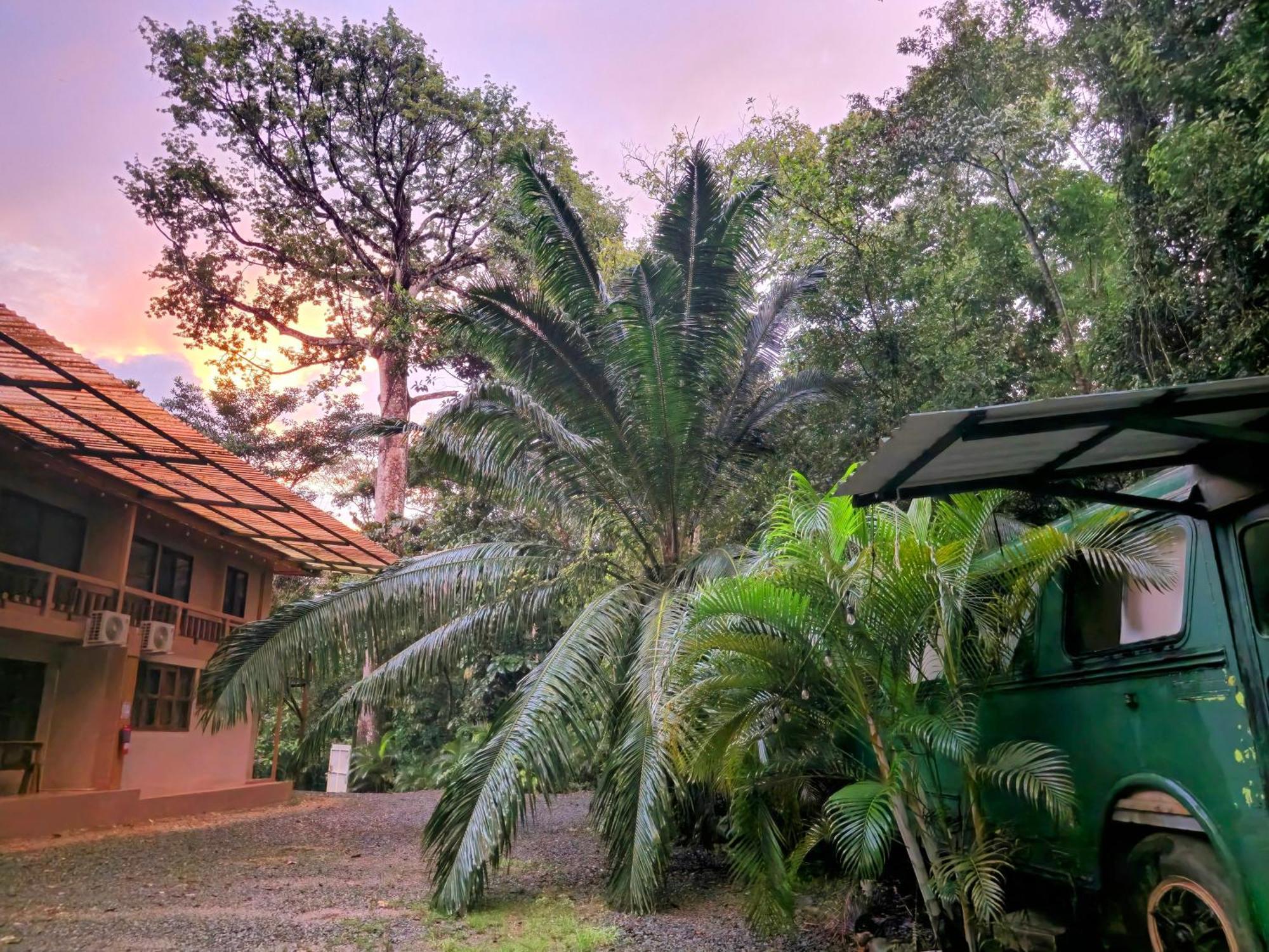 Cool Waters Jungle Villas Uvita Esterno foto