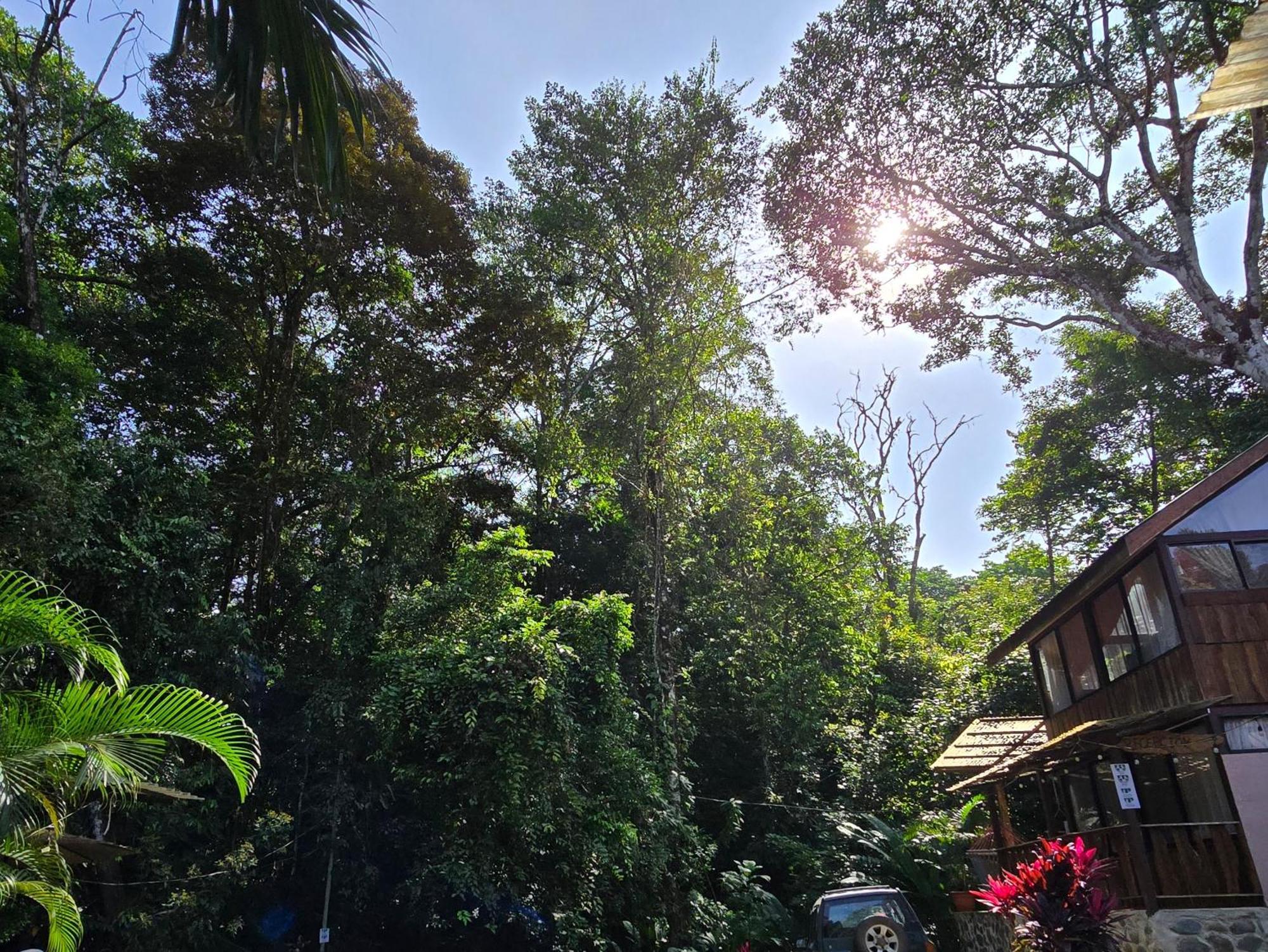 Cool Waters Jungle Villas Uvita Esterno foto