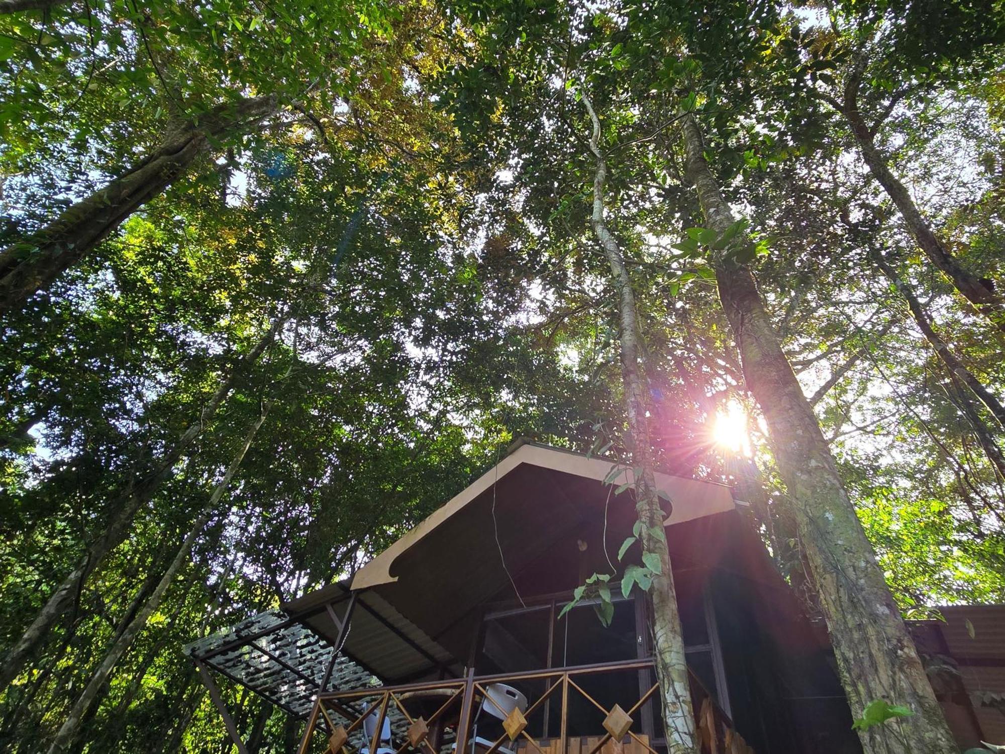 Cool Waters Jungle Villas Uvita Esterno foto