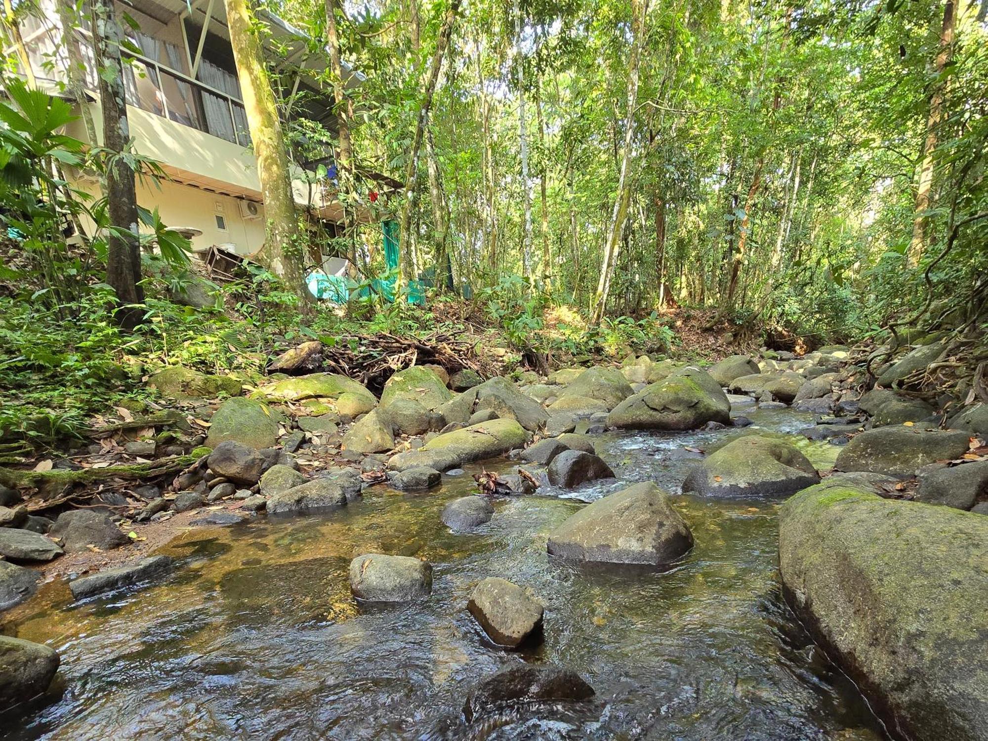 Cool Waters Jungle Villas Uvita Esterno foto